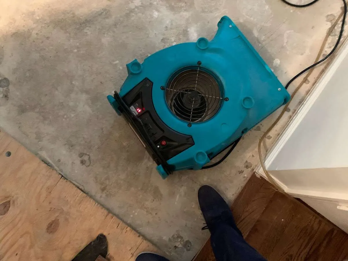 Air mover drying subfloor during Leak Detection & Repair in Brent